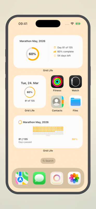 Grid Life widgets on iPhone home screen